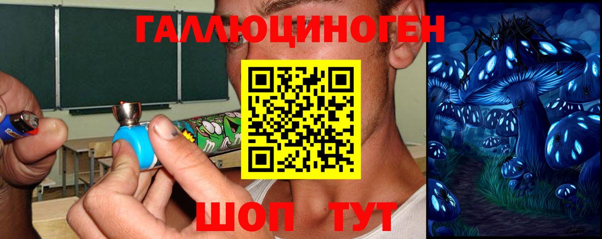 Галлюциногенные грибы Cubensis Тверь