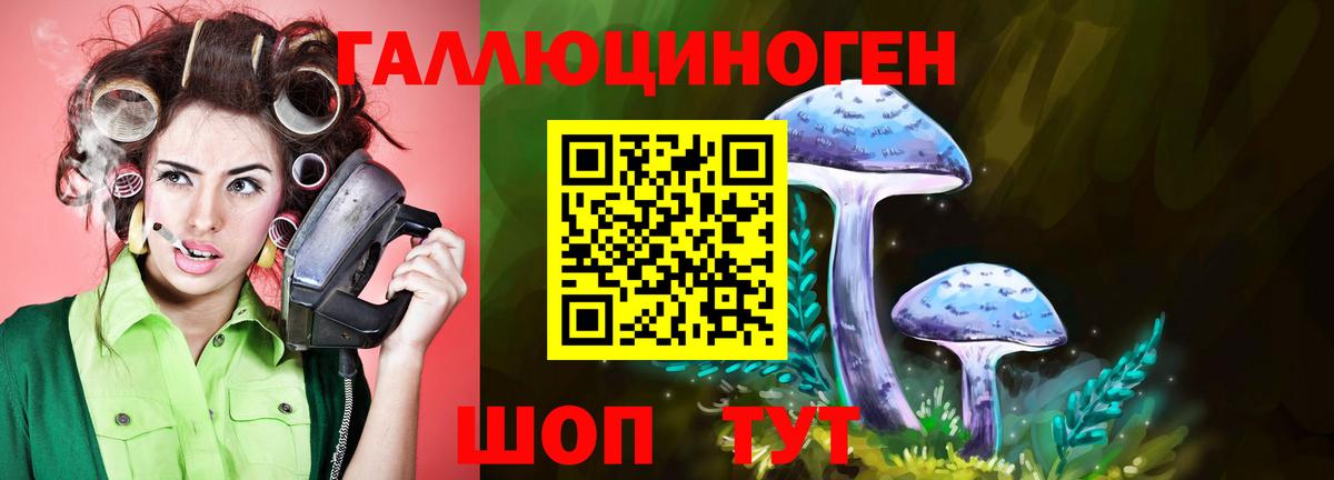 наркошоп  Вход с VPN  Тверь  Псилоцибиновые грибы MAGIC MUSHROOMS 